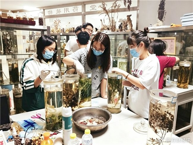 酵母工廠造艾草精華 山東第二醫(yī)科大學(xué)團(tuán)隊(duì)突破中藥黃酮合成關(guān)鍵技術(shù)