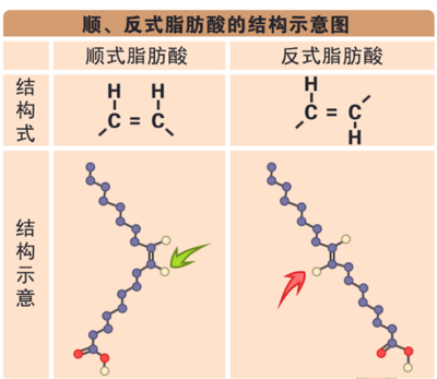 反式脂肪酸，你真的了解嗎？